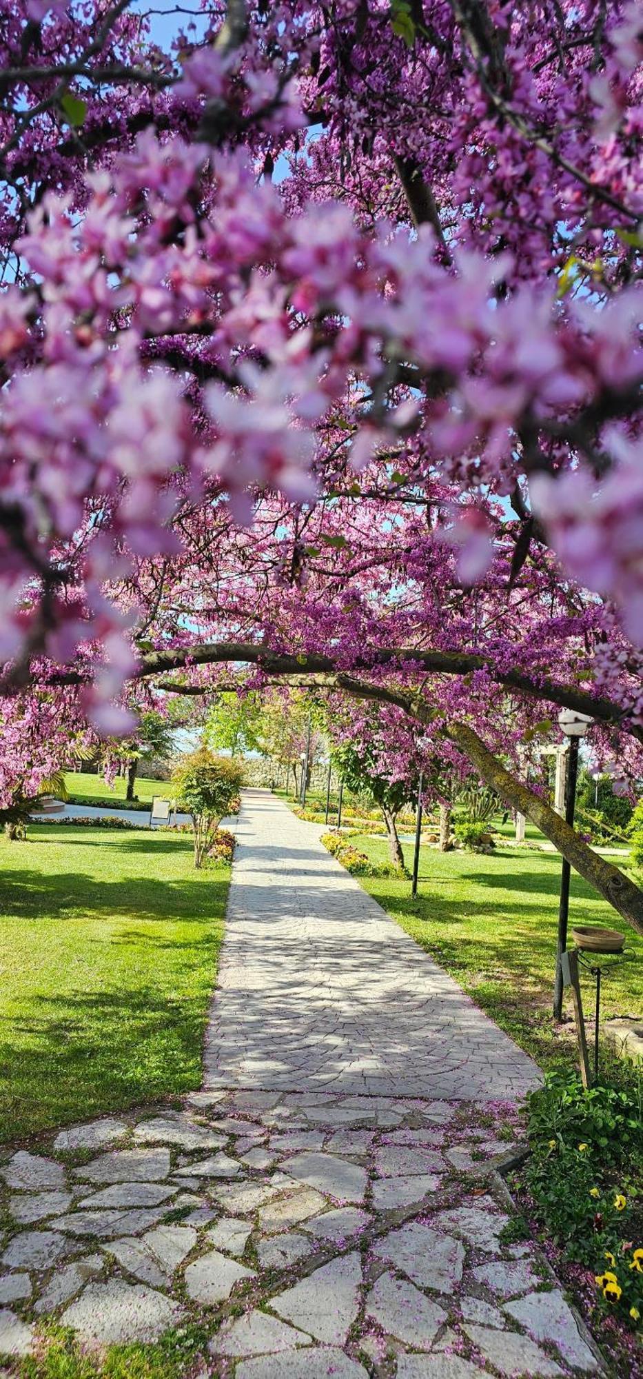 Green Park Divjake Luaran gambar